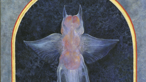 Sea angel as a golden icon