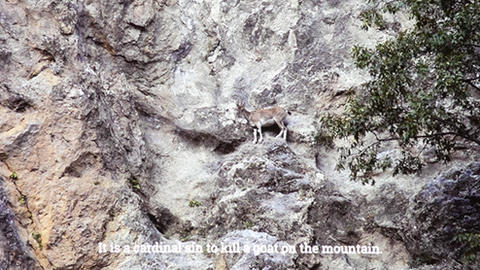 video still of "goat on the mountain"