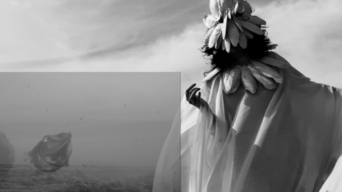Multi-layered black and white photograph