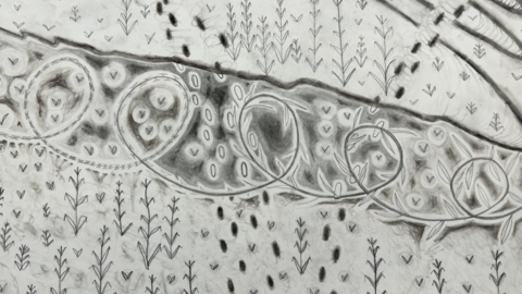 Floral drawing