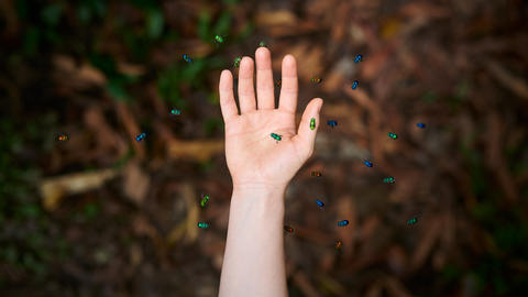 A hand with colorful beetles around it