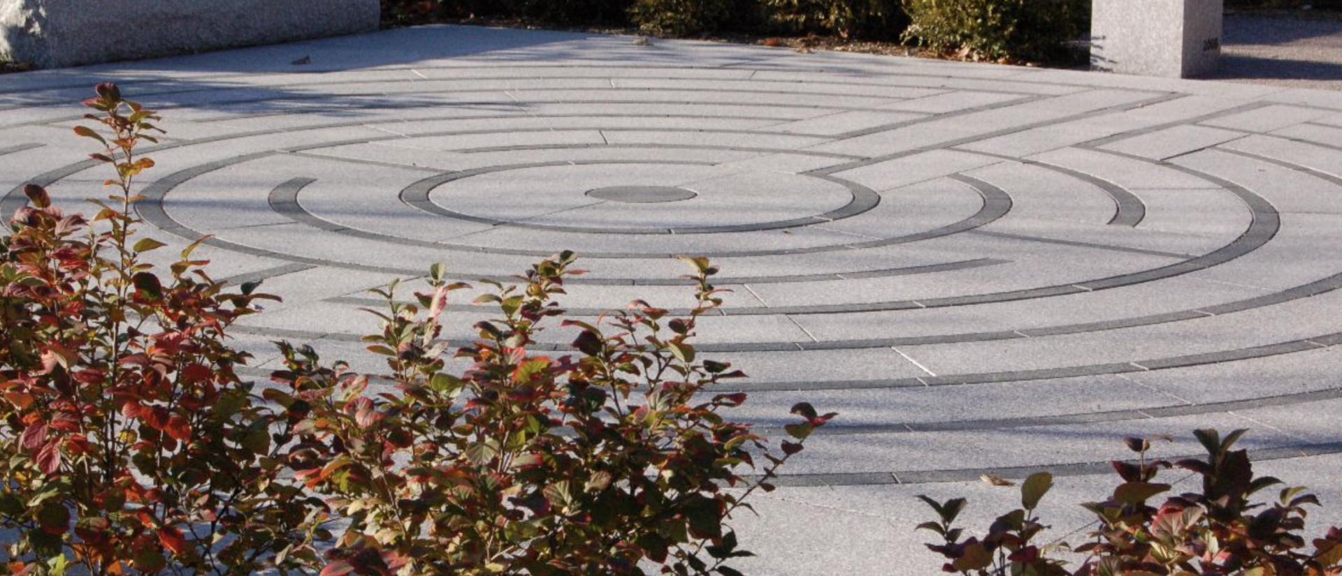 A stone walking labyrinth at Harvard Divinity School surrounded by shrubs